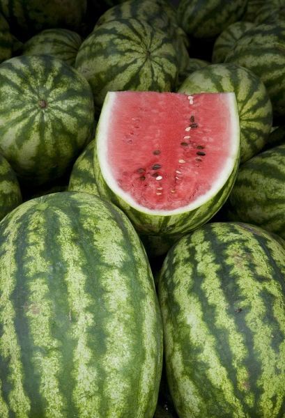 UAE, Abu Dhabi Watermelons on display at market